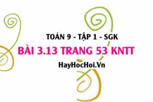 Bài 3.13 trang 53 Toán 9 tập 1 Kết nối tri thức